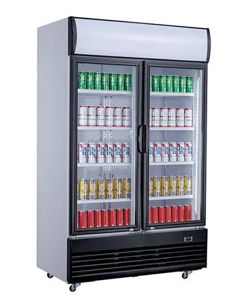 Frigos Boissons 2 Portes