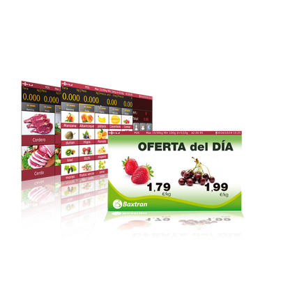 Roestvrijstalen elektronische weegschaal met kolom, 300 kg x 20 g BSC/300-20 